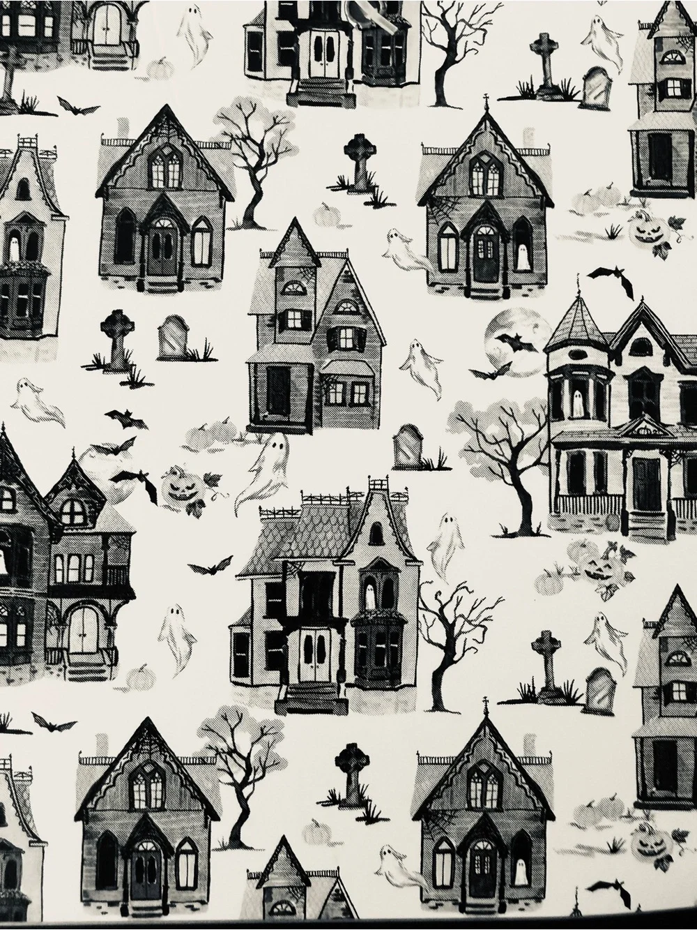 Cynthia Rowley Haunted House Plush Blanket Full Queen Blk White Gothic Halloween